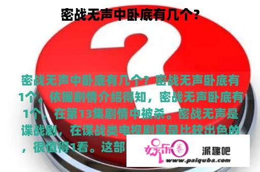 密战无声中卧底有几个？