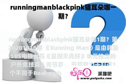 runningmanblackpink猫耳朵哪一期？