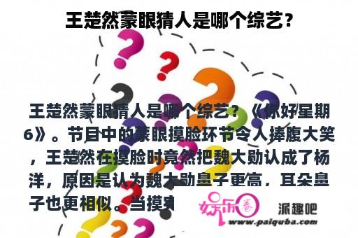 王楚然蒙眼猜人是哪个综艺？