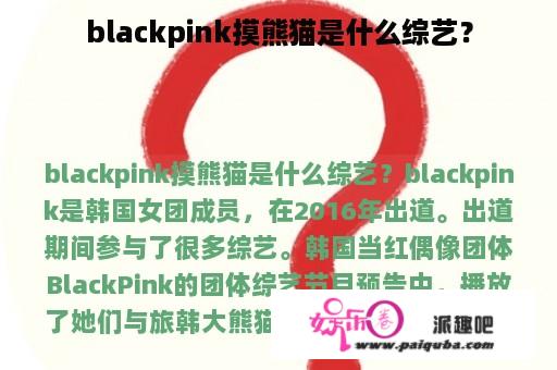 blackpink摸熊猫是什么综艺？