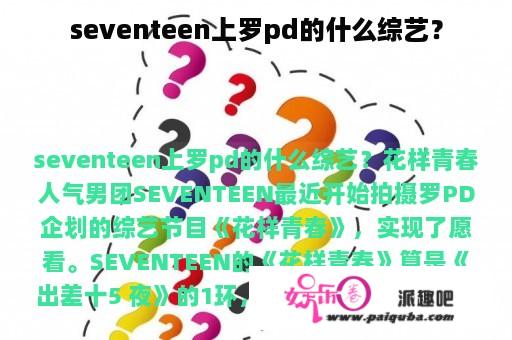 seventeen上罗pd的什么综艺？