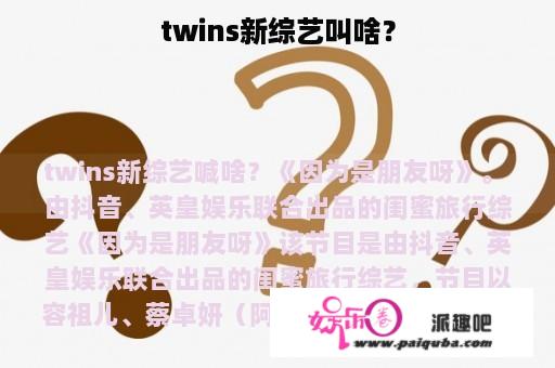 twins新综艺叫啥？