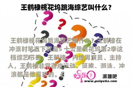 王鹤棣桃花坞跳海综艺叫什么？