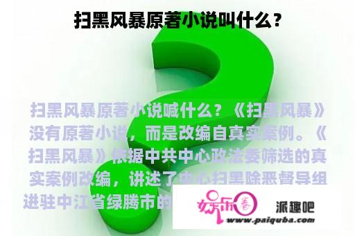 扫黑风暴原著小说叫什么？