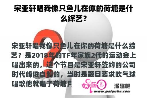 宋亚轩唱我像只鱼儿在你的荷塘是什么综艺？