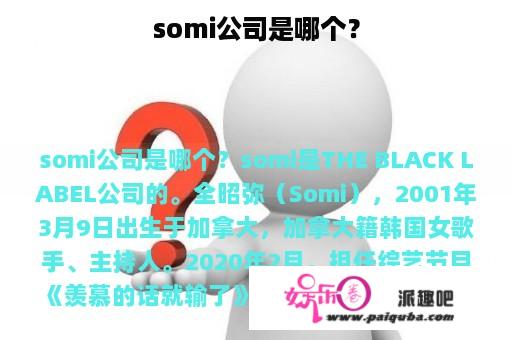 somi公司是哪个？