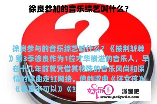 徐良参加的音乐综艺叫什么？