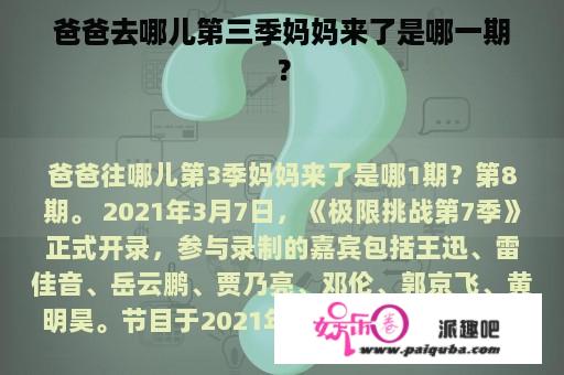 爸爸去哪儿第三季妈妈来了是哪一期？