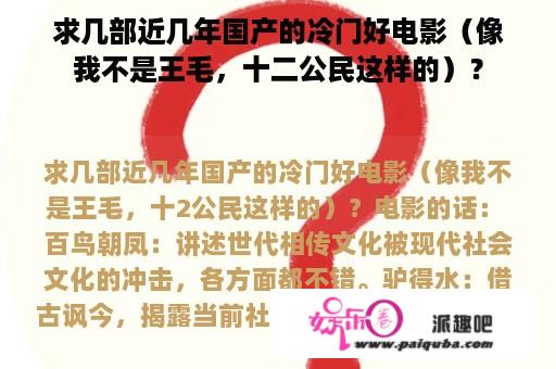 求几部近几年国产的冷门好电影（像我不是王毛，十二公民这样的）？