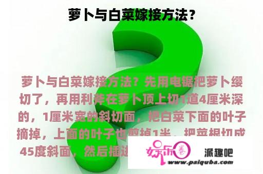 萝卜与白菜嫁接方法？