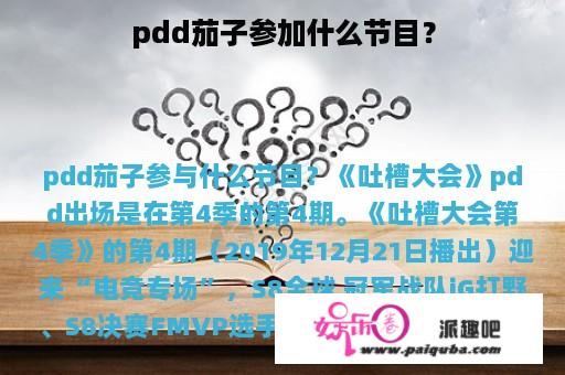 pdd茄子参加什么节目？