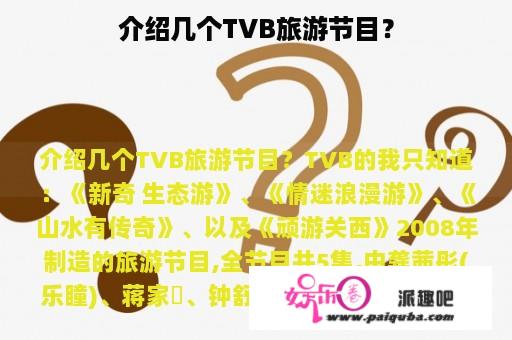 介绍几个TVB旅游节目？