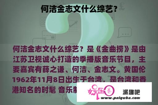 何洁金志文什么综艺？