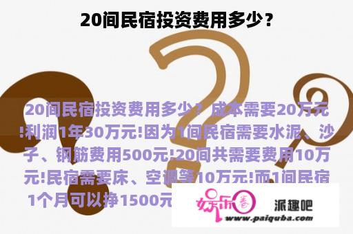 20间民宿投资费用多少？