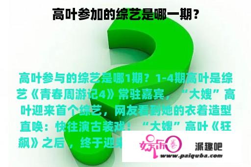 高叶参加的综艺是哪一期？