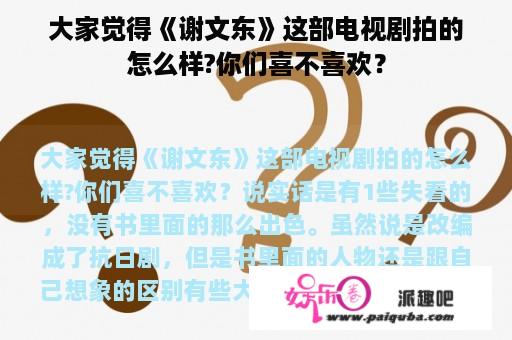 大家觉得《谢文东》这部电视剧拍的怎么样?你们喜不喜欢？