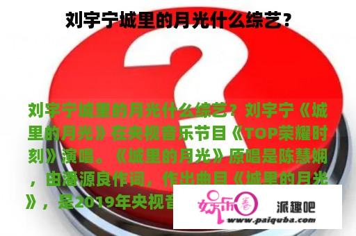 刘宇宁城里的月光什么综艺？