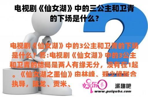 电视剧《仙女湖》中的三公主和卫青的下场是什么？