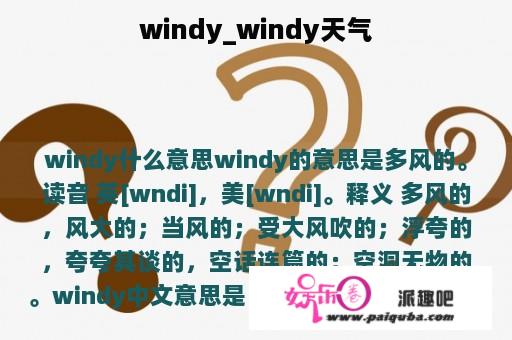 windy_windy天气