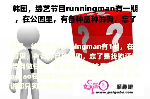 韩国，综艺节目runningman有一期，在公园里，有各种品种的狗，忘了是找狗还是带狗做任务？