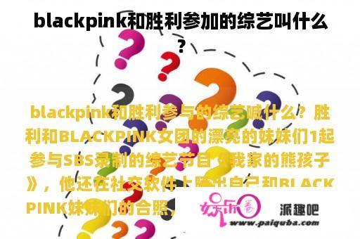 blackpink和胜利参加的综艺叫什么？