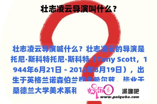 壮志凌云导演叫什么？