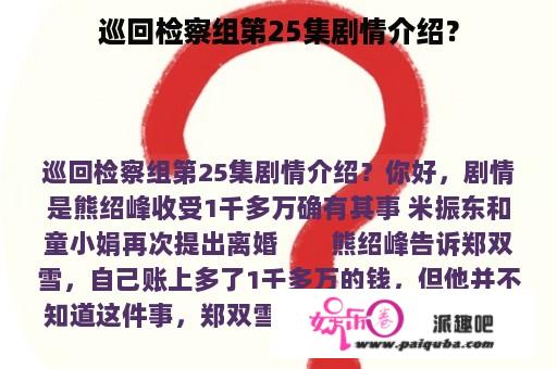 巡回检察组第25集剧情介绍？