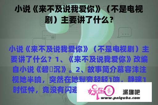 小说《来不及说我爱你》（不是电视剧）主要讲了什么？