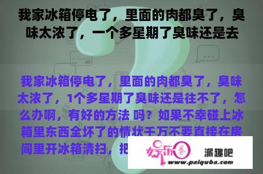 我家冰箱停电了，里面的肉都臭了，臭味太浓了，一个多星期了臭味还是去不了，怎么办啊，有好的办法吗？