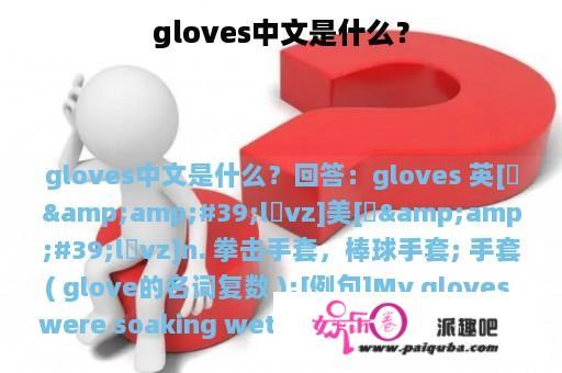 gloves中文是什么？