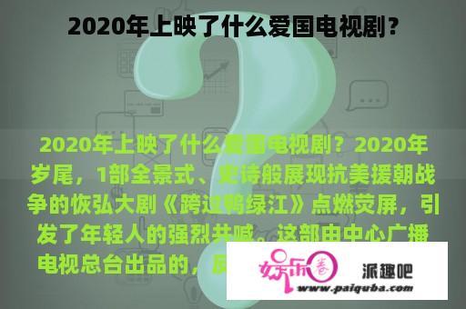 2020年上映了什么爱国电视剧？