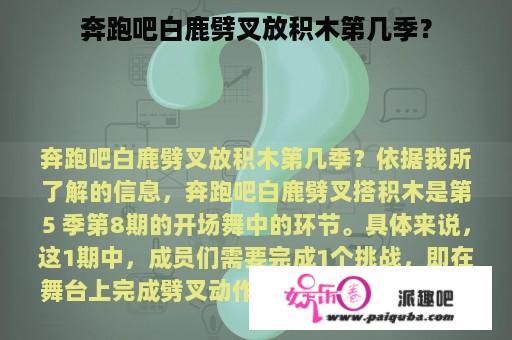 奔跑吧白鹿劈叉放积木第几季？