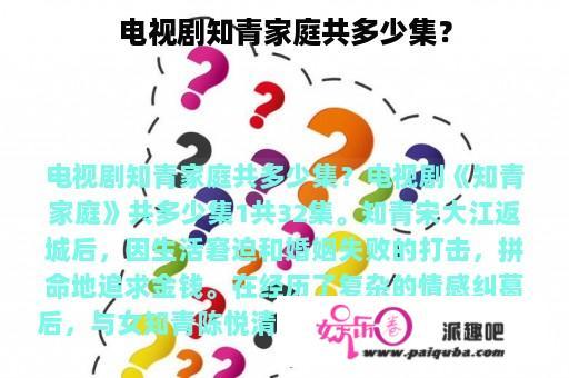 电视剧知青家庭共多少集？