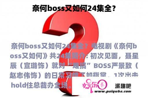 奈何boss又如何24集全？