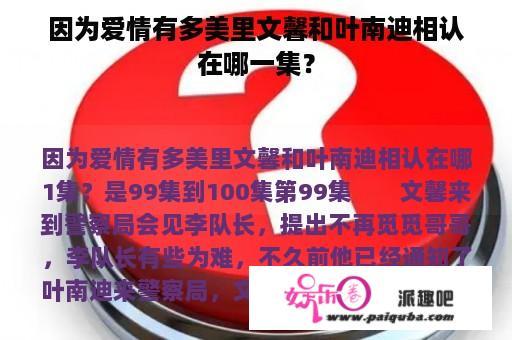 因为爱情有多美里文馨和叶南迪相认在哪一集？