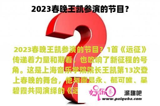 2023春晚王凯参演的节目？