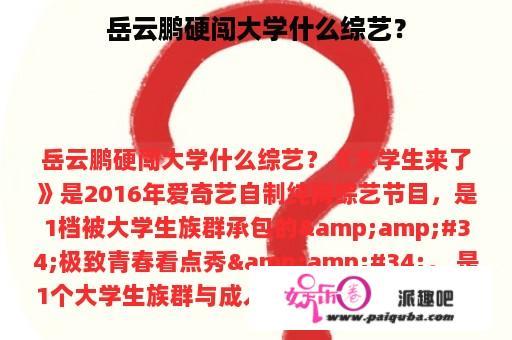 岳云鹏硬闯大学什么综艺？