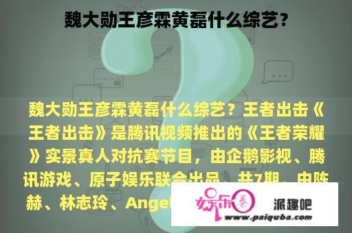 魏大勋王彦霖黄磊什么综艺？