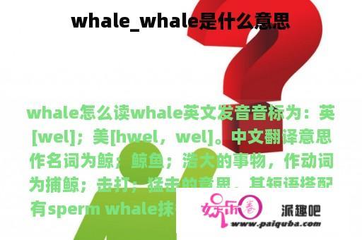 whale_whale是什么意思