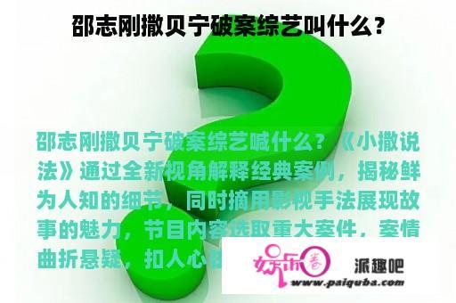 邵志刚撒贝宁破案综艺叫什么？