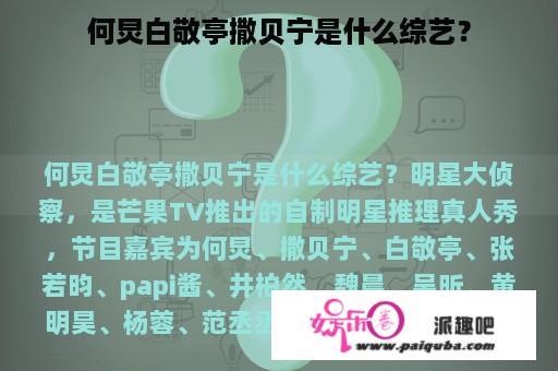 何炅白敬亭撒贝宁是什么综艺？