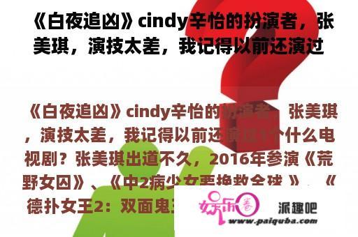 《白夜追凶》cindy辛怡的扮演者，张美琪，演技太差，我记得以前还演过一个什么电视剧？