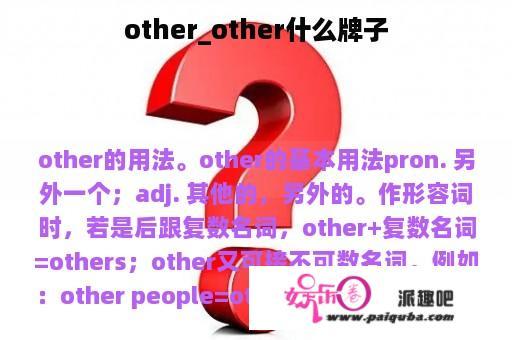 other_other什么牌子