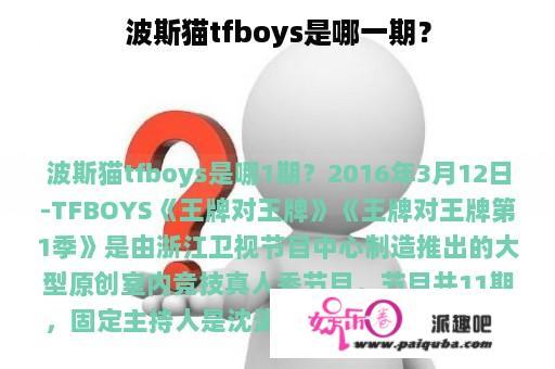 波斯猫tfboys是哪一期？