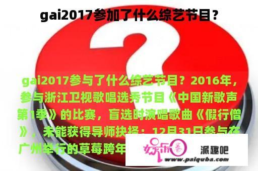 gai2017参加了什么综艺节目？