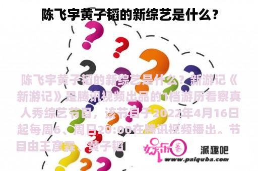 陈飞宇黄子韬的新综艺是什么？