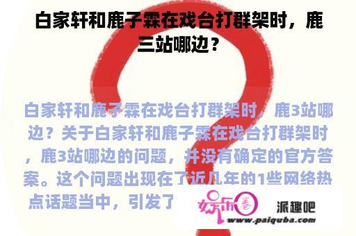 白家轩和鹿子霖在戏台打群架时，鹿三站哪边？