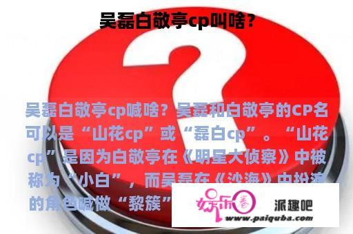 吴磊白敬亭cp叫啥？