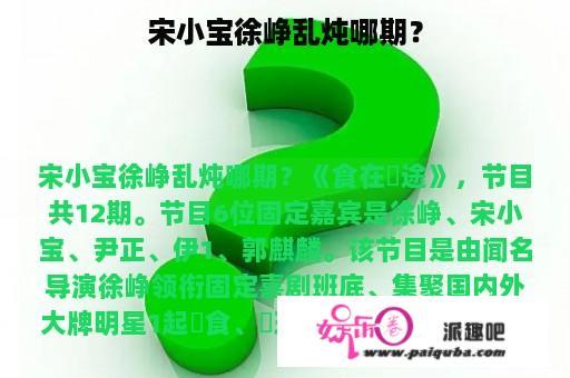 宋小宝徐峥乱炖哪期？