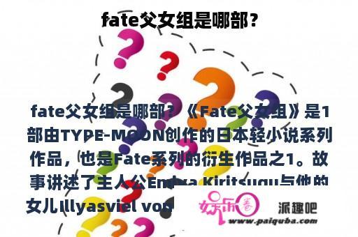 fate父女组是哪部？